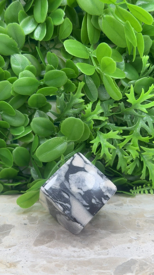 Shell Jasper Cube 198g