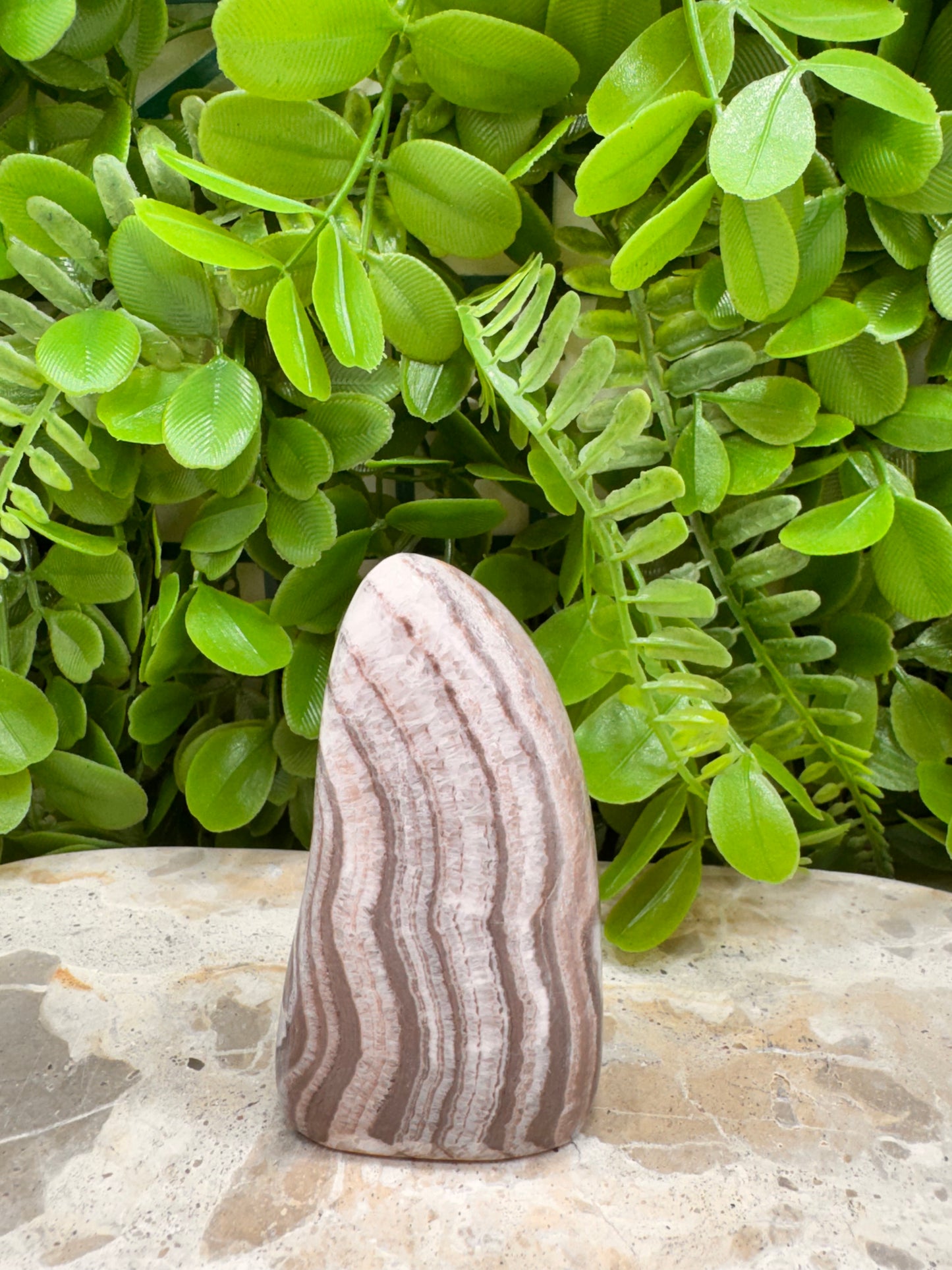 Chocolate Aragonite Freeform 192g