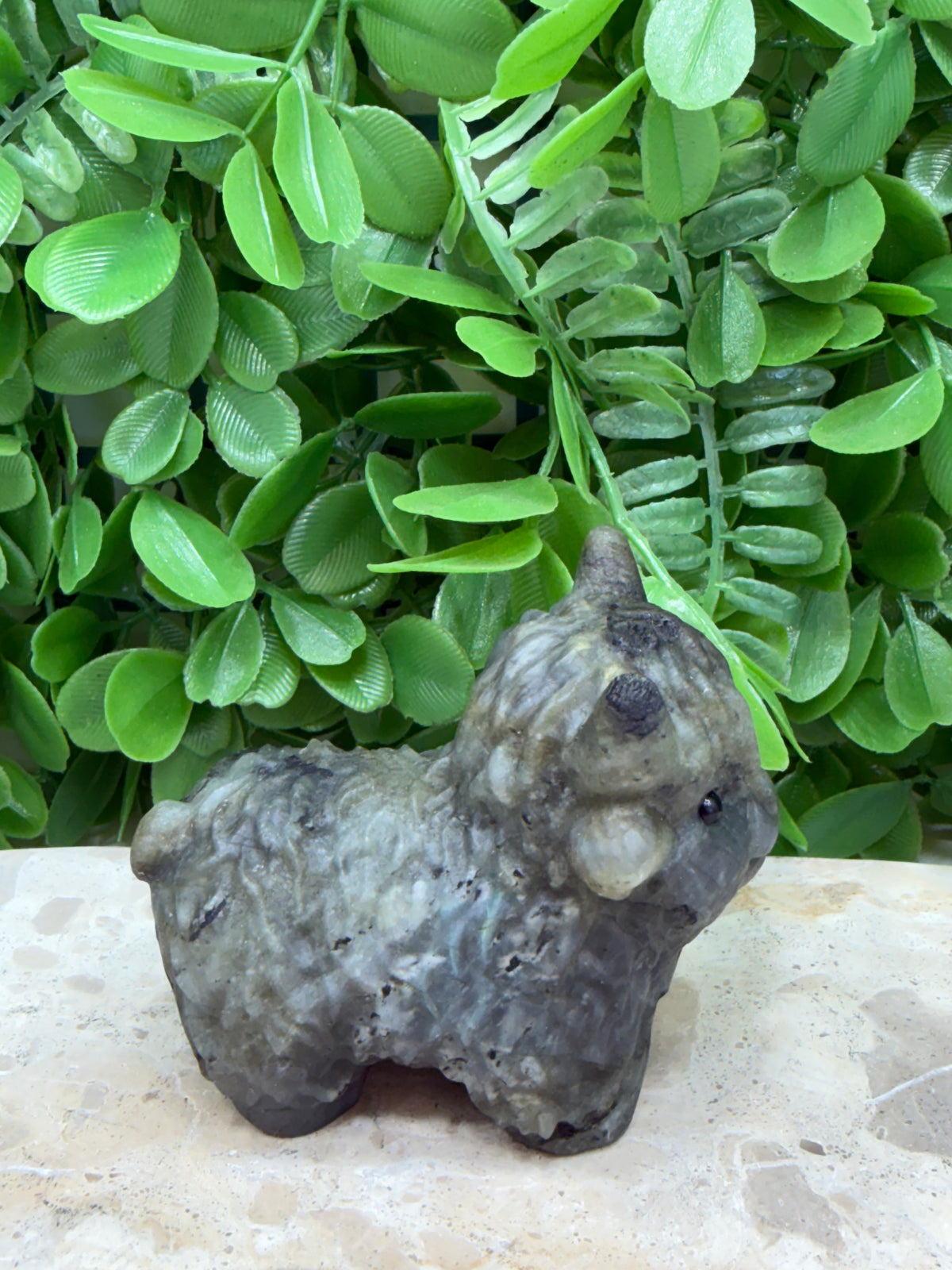 Labradorite Highland Cow 274g | Protection • Intuition • Transformation