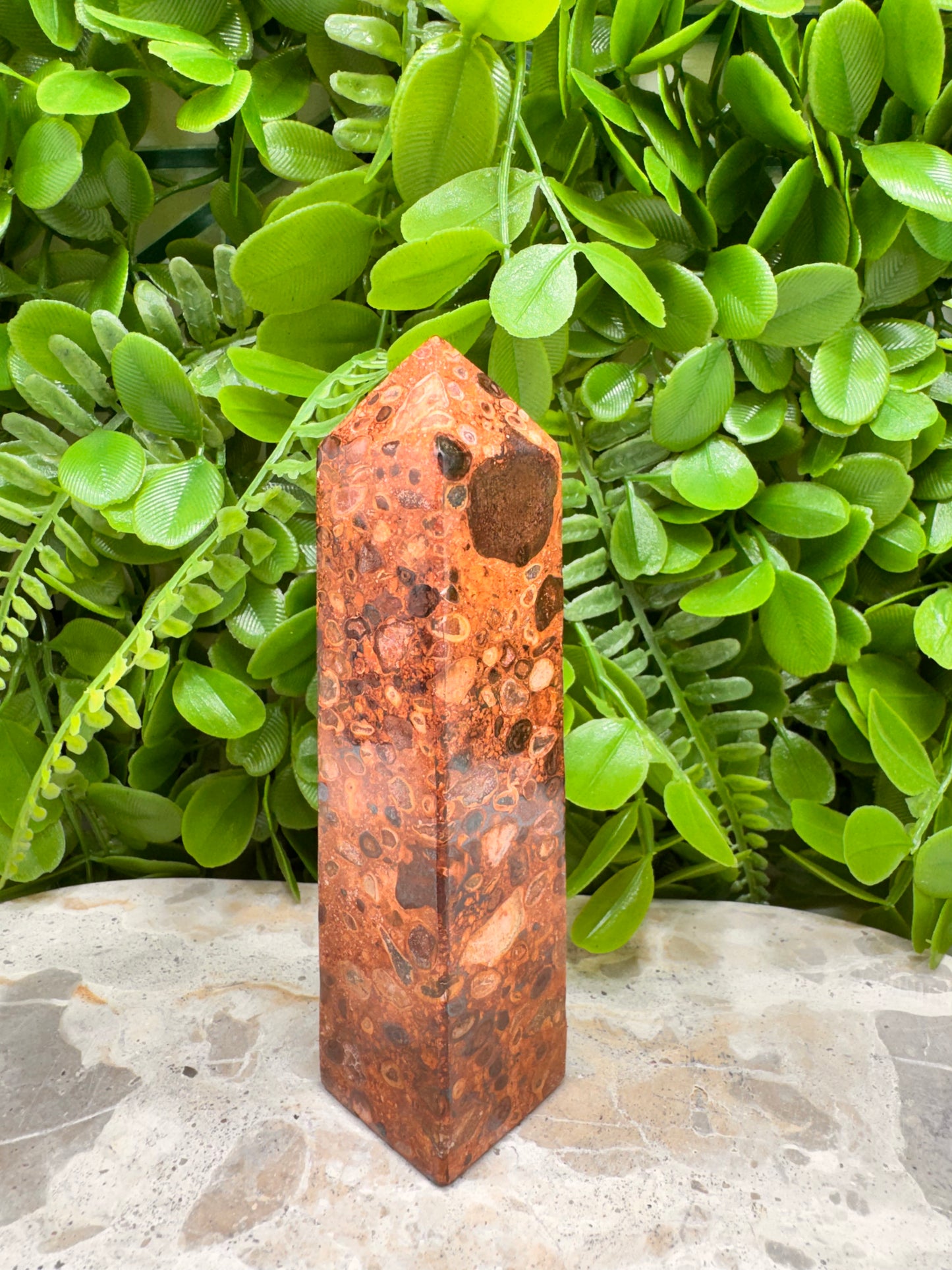 Coral Fossil Jasper Tower 236g