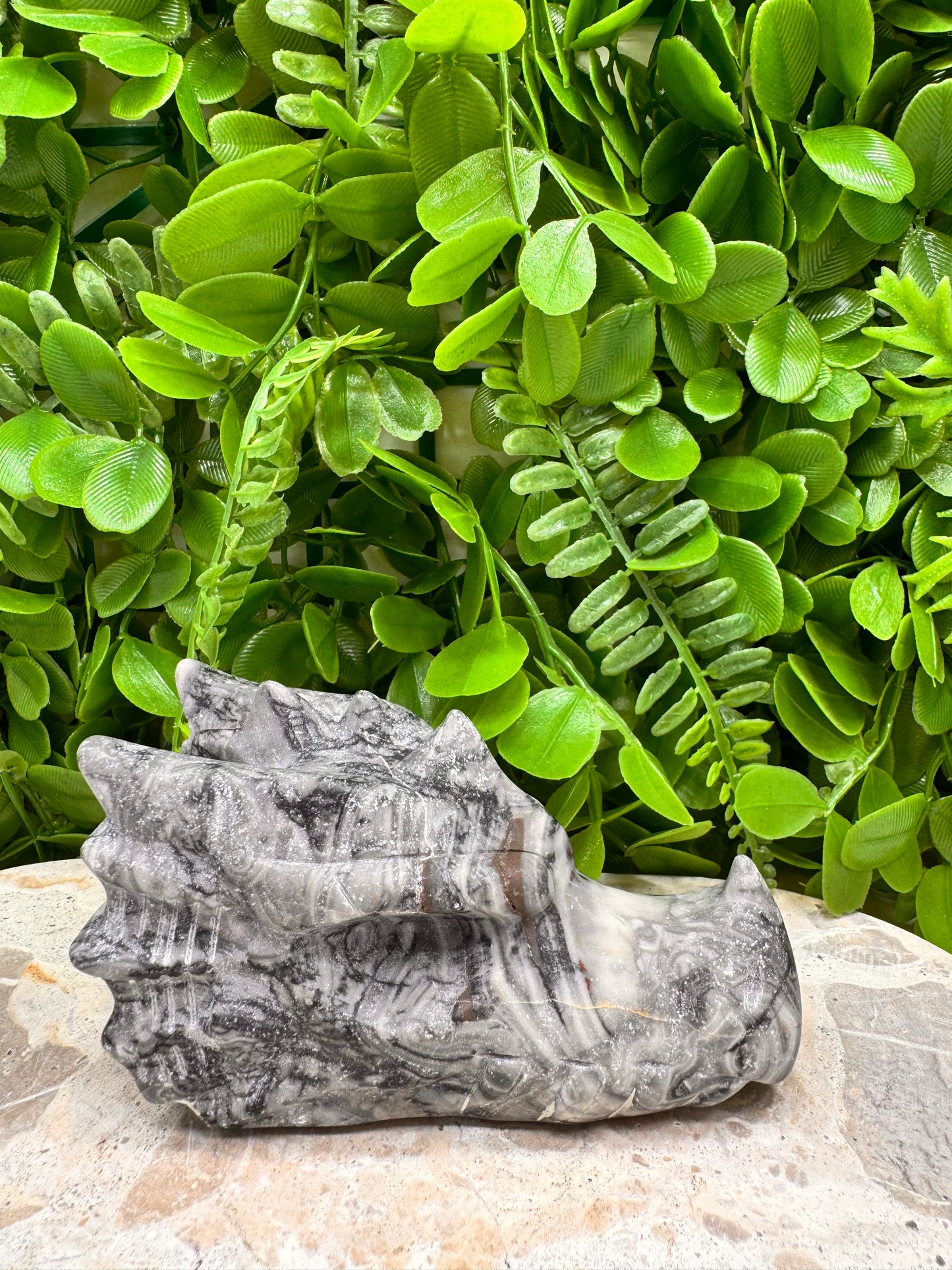 Fossil Dragons Skull 512g