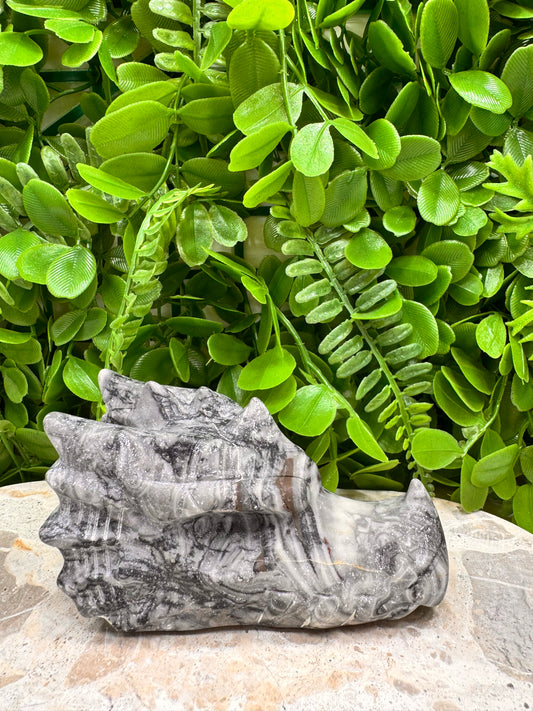 Fossil Dragons Skull 512g