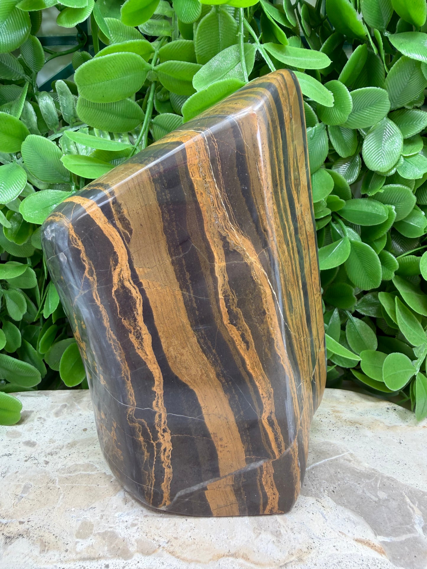 Golden Jasper Freeform 608g