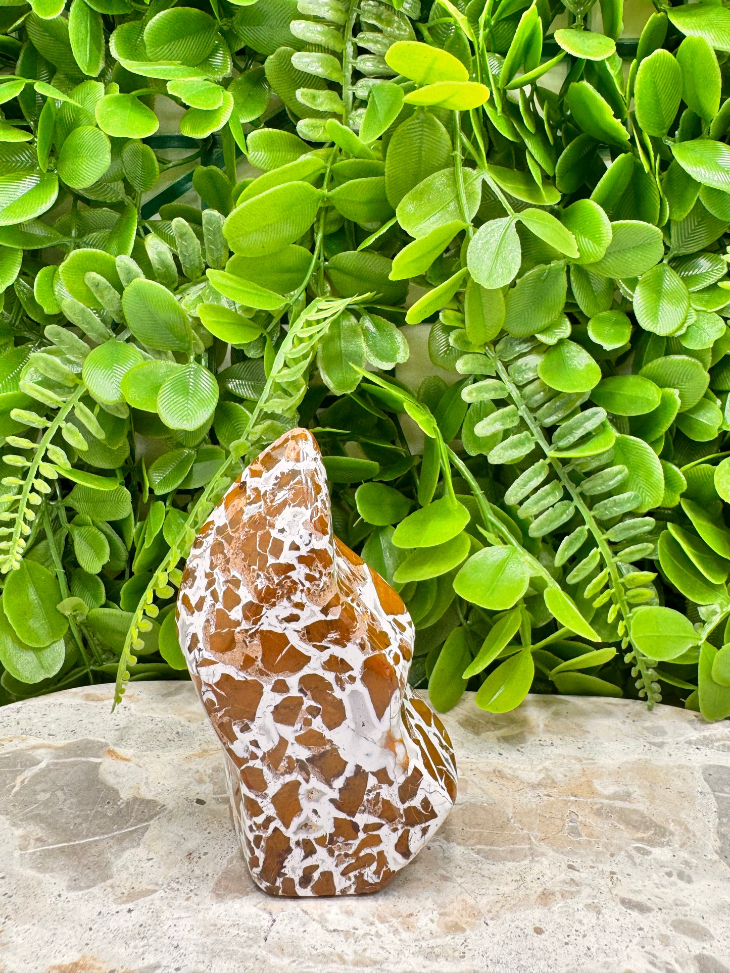 Jasper Agate Freeform 228g