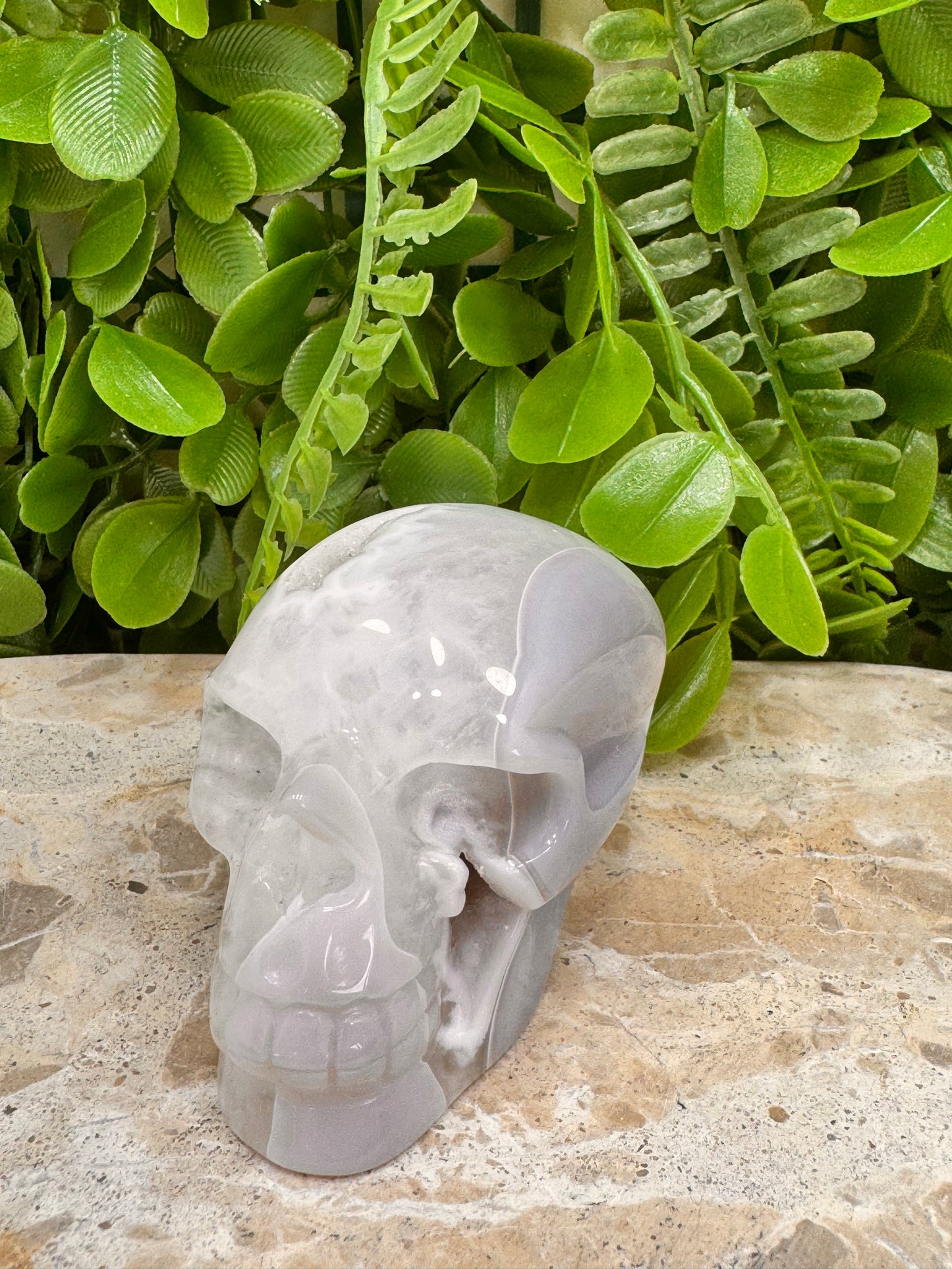 Agate Druzy Skull 266g