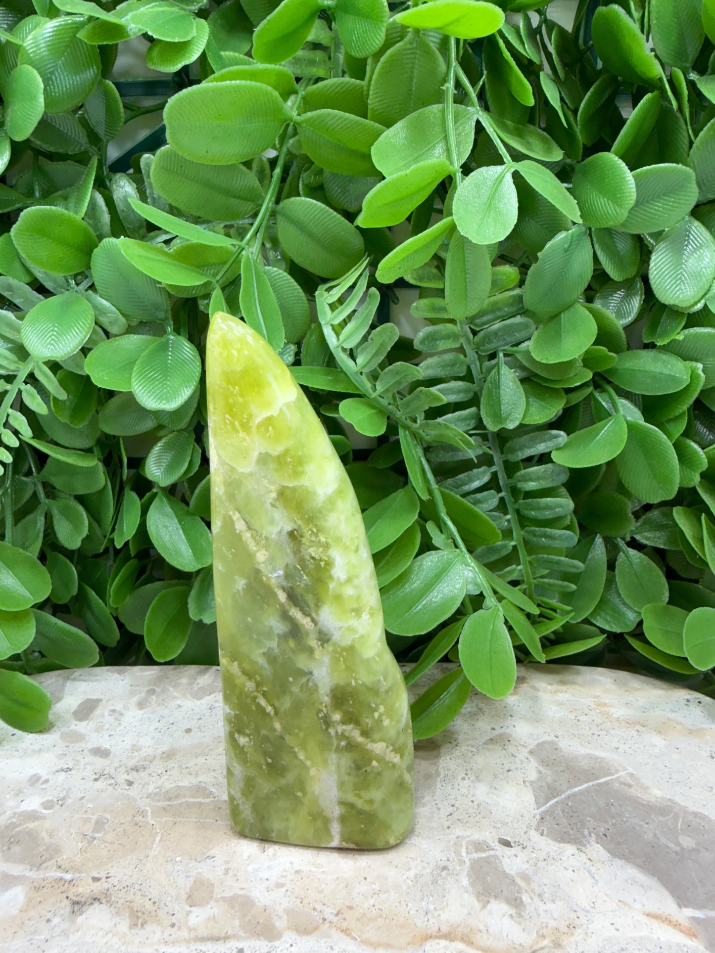 Lizard Serpentine Freeform 218g