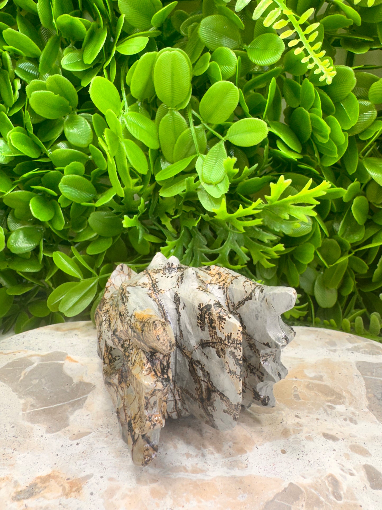 Picture Jasper Dragon Skull 530g