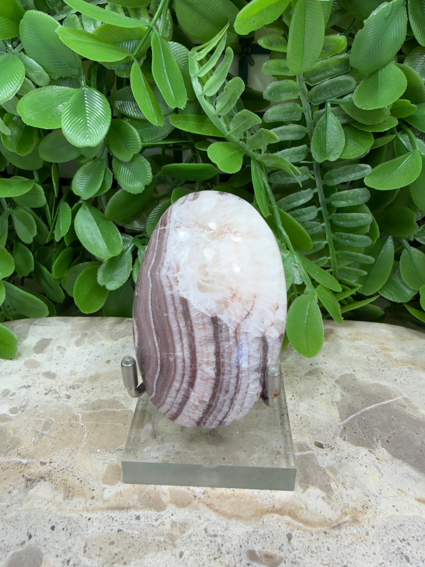 Chocolate Aragonite Palm Stone 84g