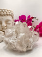 Clear Quartz Cluster 3218g