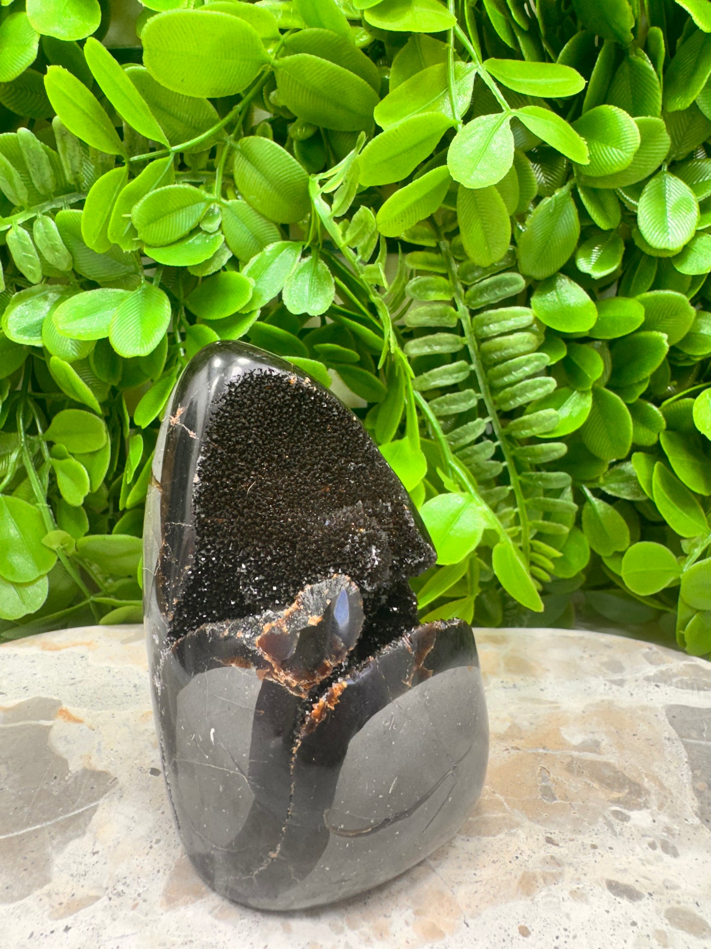 Septarian Freeform 570g