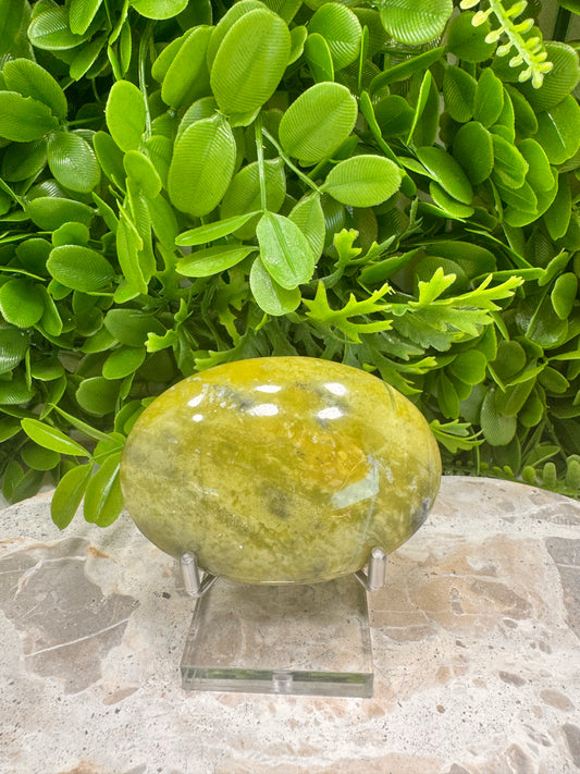 Green Jade Palm Stone 180g