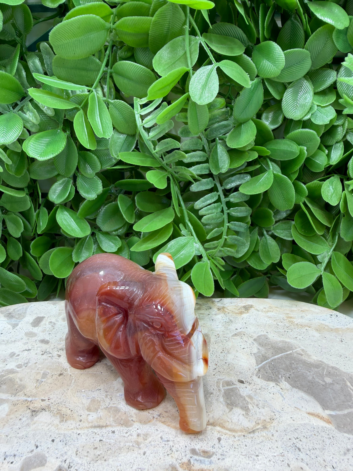 Carnelian Elephant 226g | Motivation • Confidence • Creativity