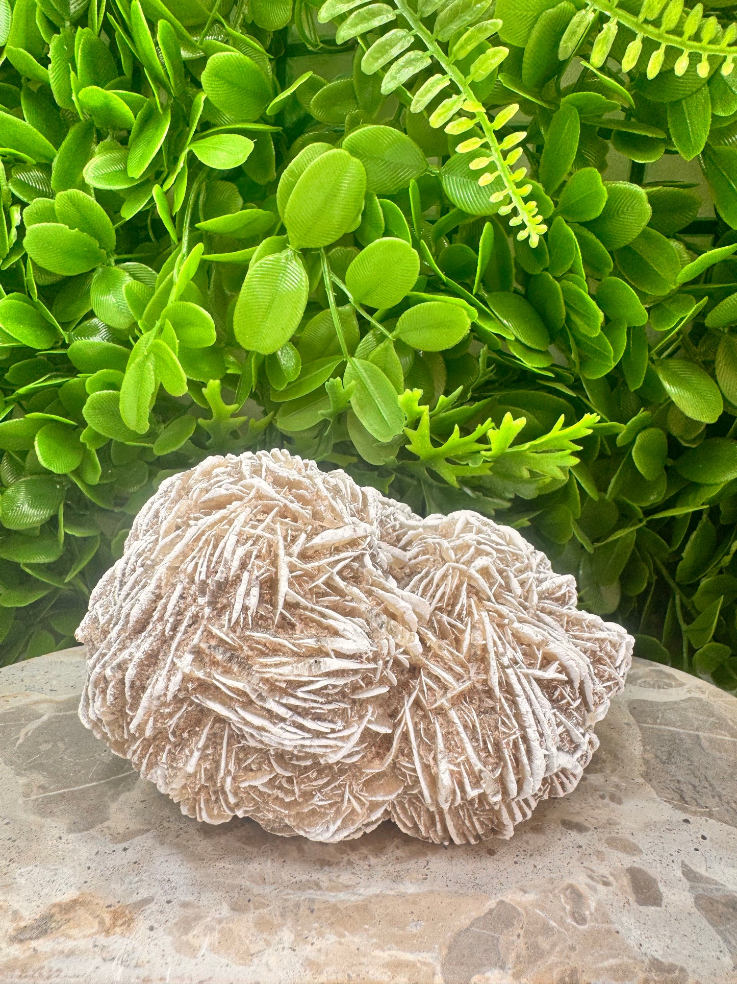 Desert Rose Selenite Cluster  1004g