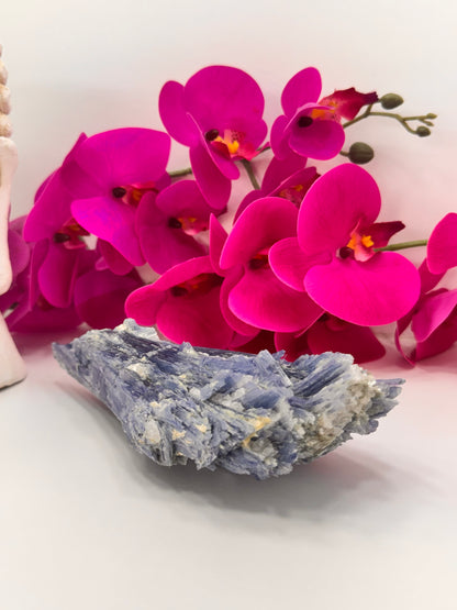 Kyanite Raw 834g