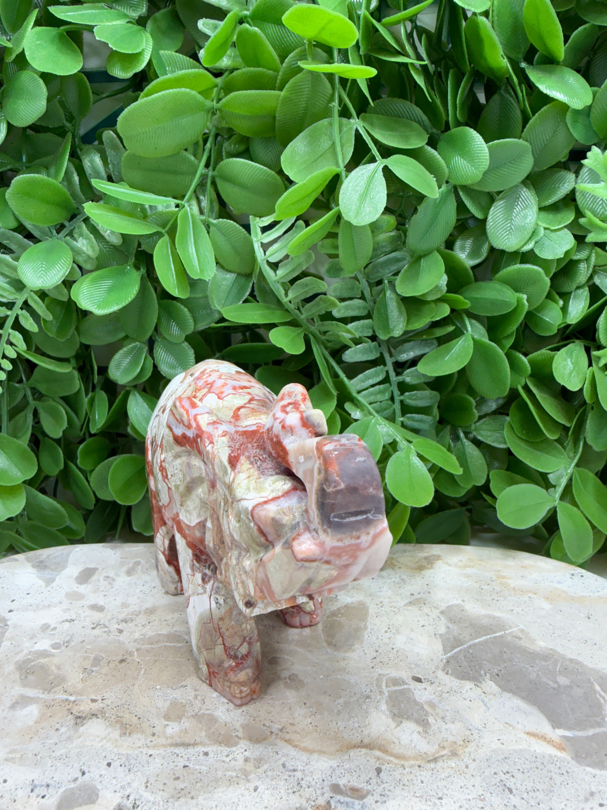 Money Agate Elephant 464g | Abundance • Prosperity • Success