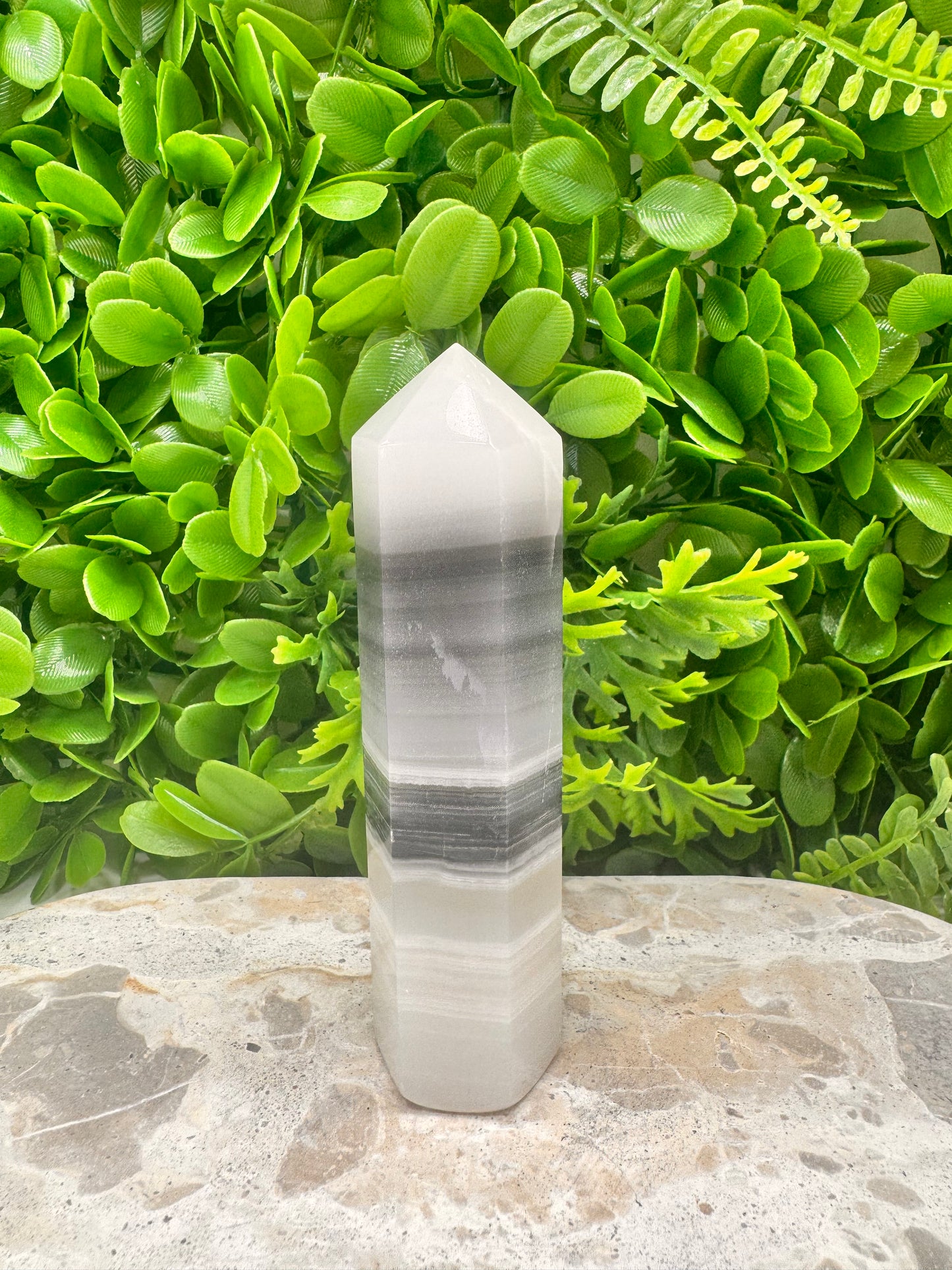 Black & White Onyx Tower 290g