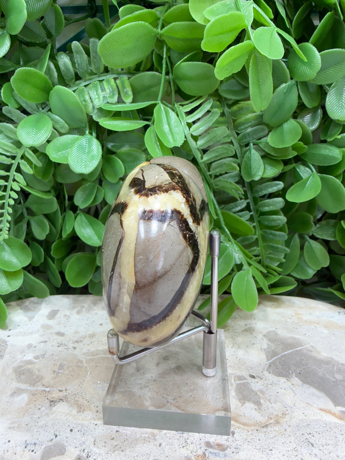 Septarian Dragon Stone 368g