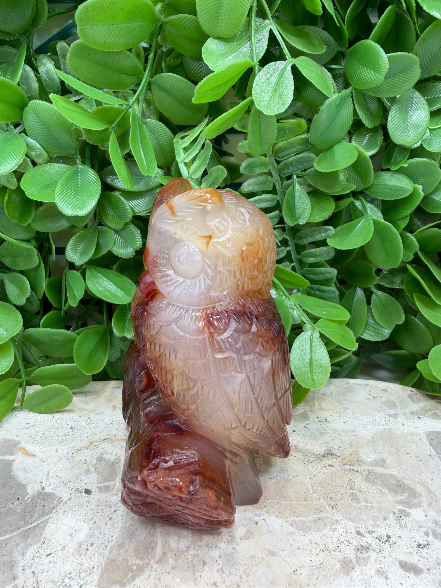 Carnelian Owl 480g