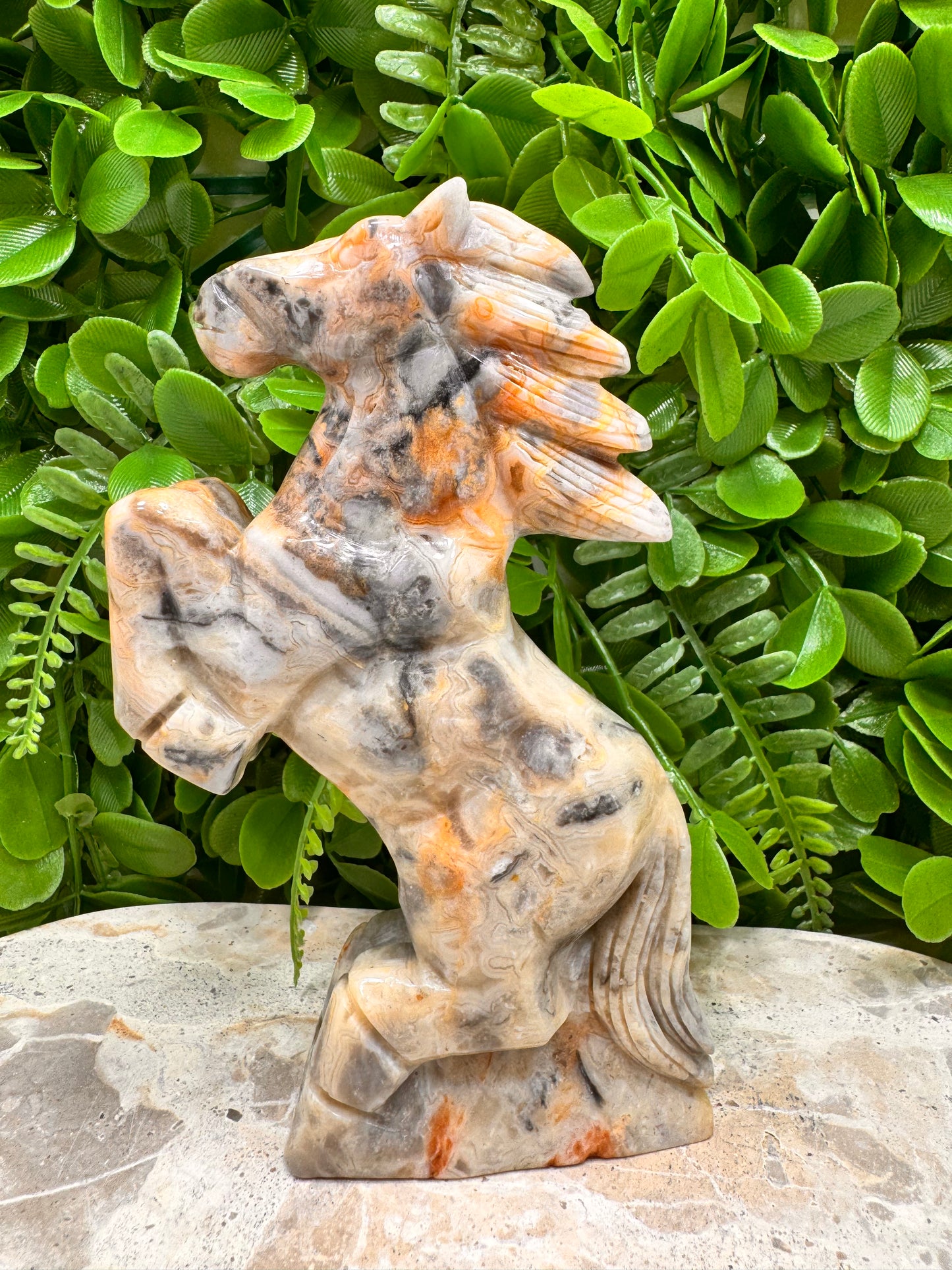 Crazy Lace Agate Horse 410g