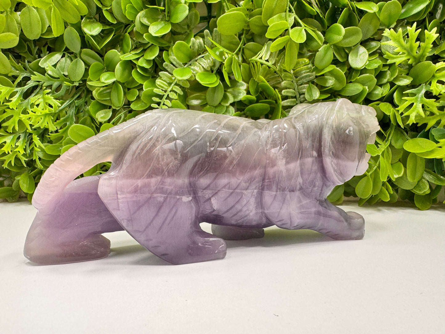 Fluorite Tiger 1498g