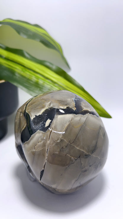 Volcanic Agate Skull 1156g