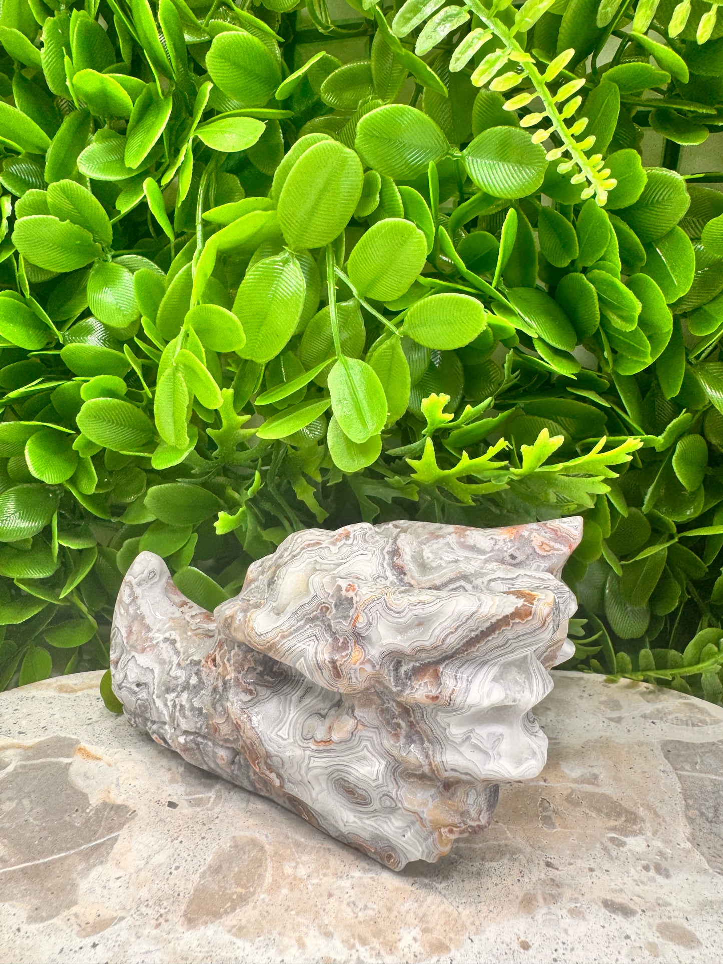 Mexican Agate Druzy Dragon Skull 570g