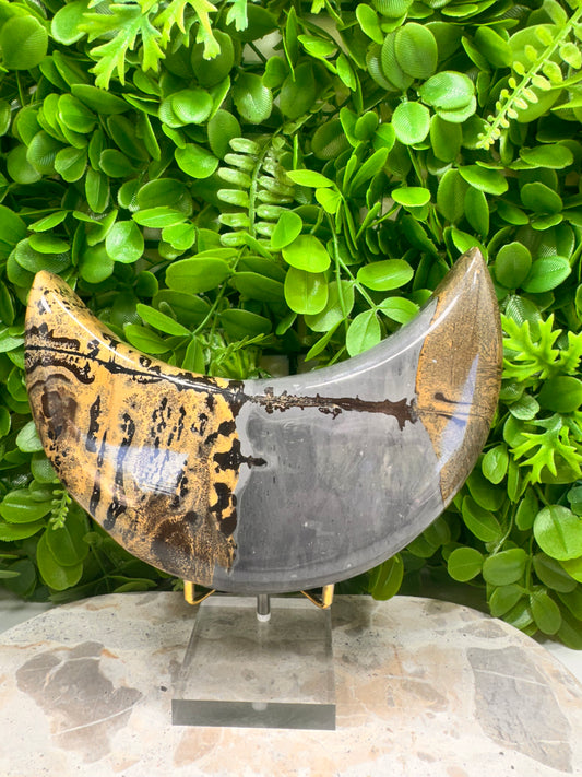 Picture Jasper Moon 1336g