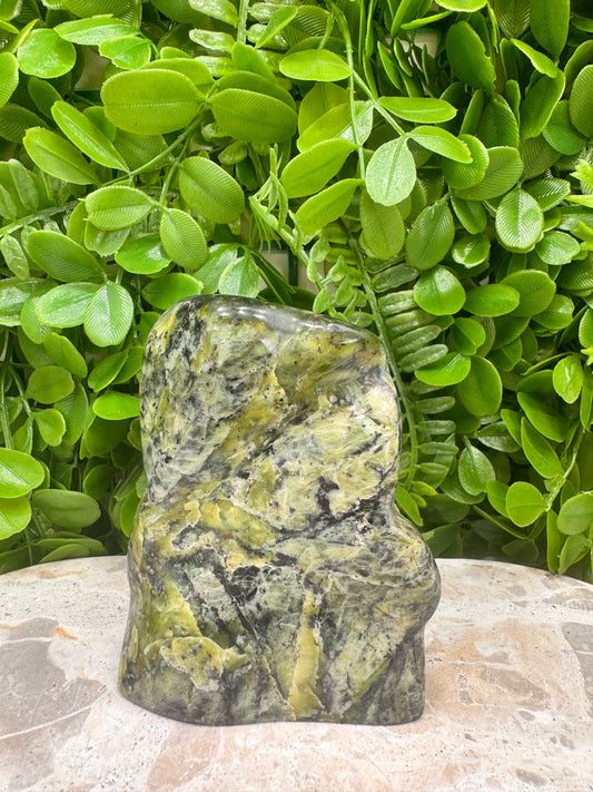 Nephrite Jade Freeform 710g