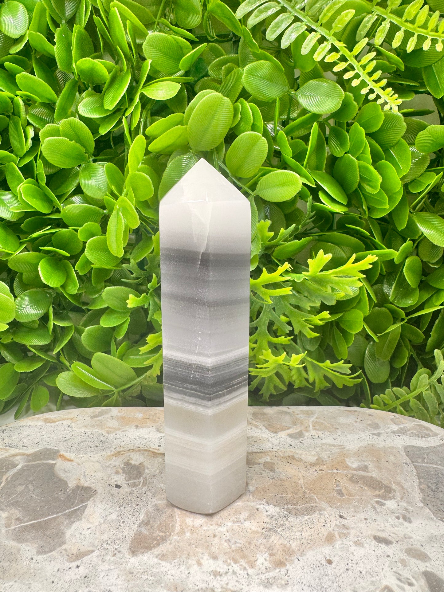 Black & White Onyx Tower 290g