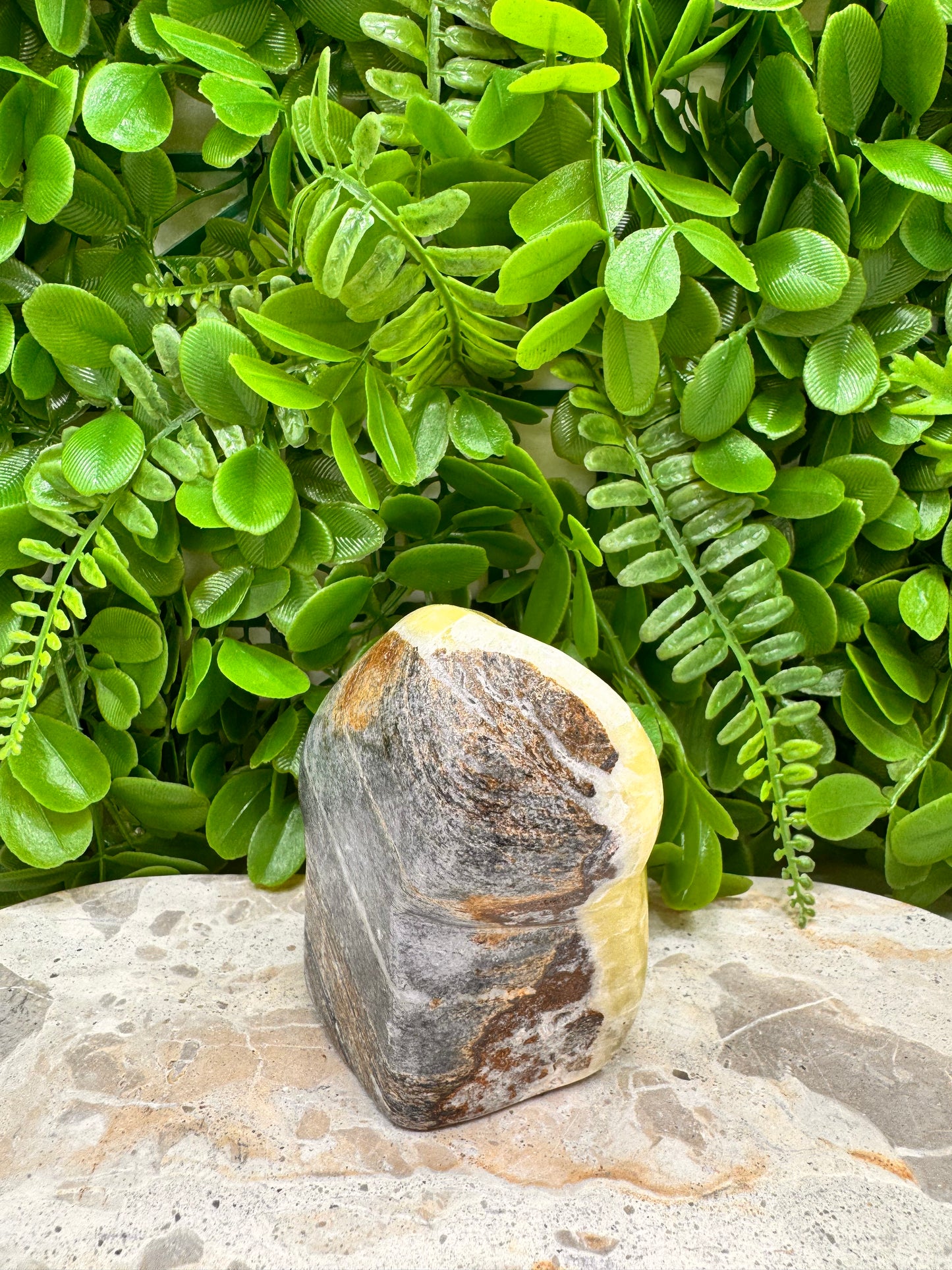 Brucite Freeform 504g