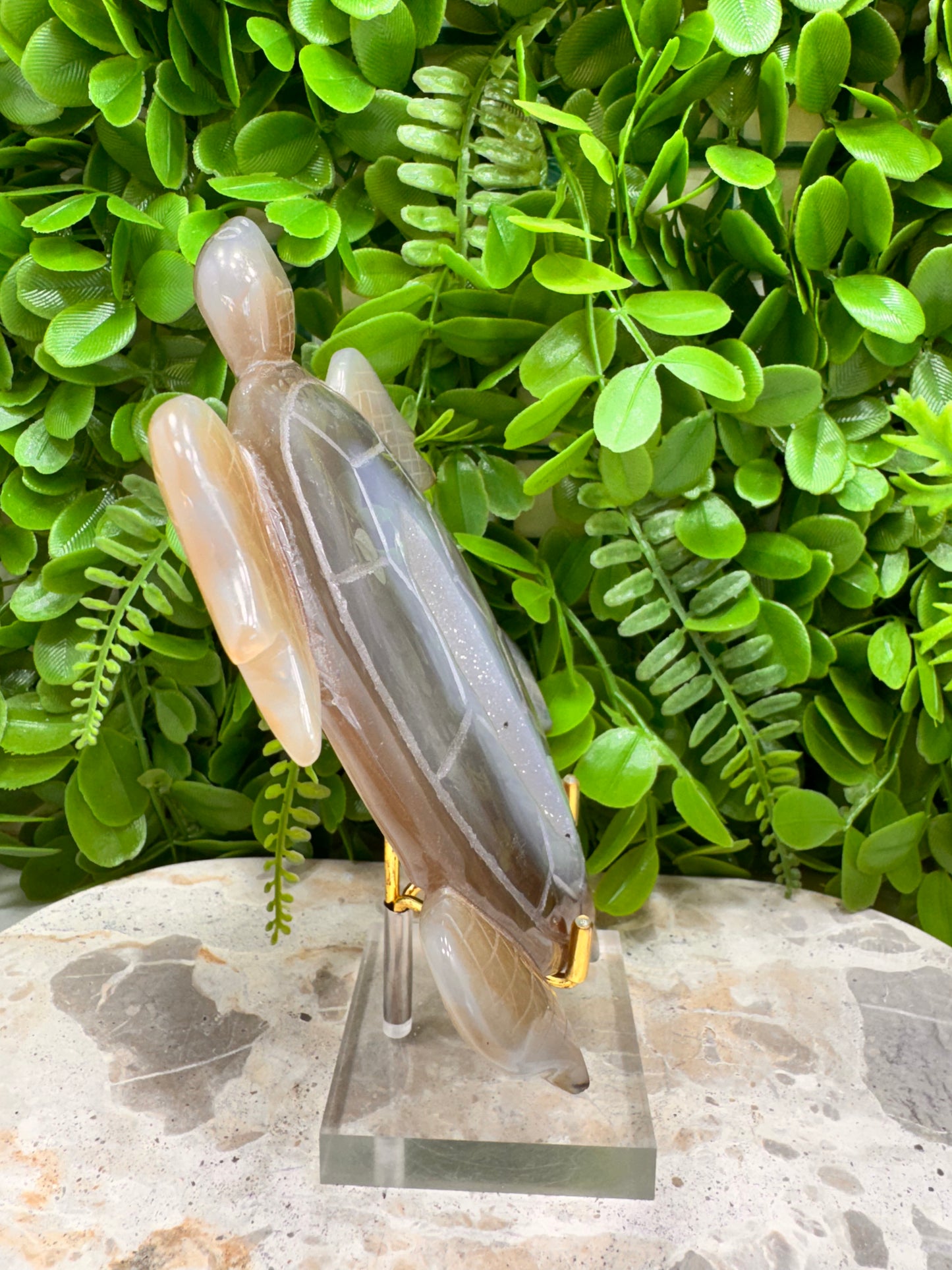 Druzy Agate Turtle 372g