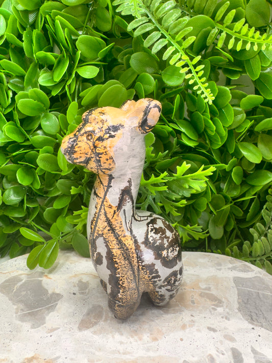 Picture Jasper Llama 583g
