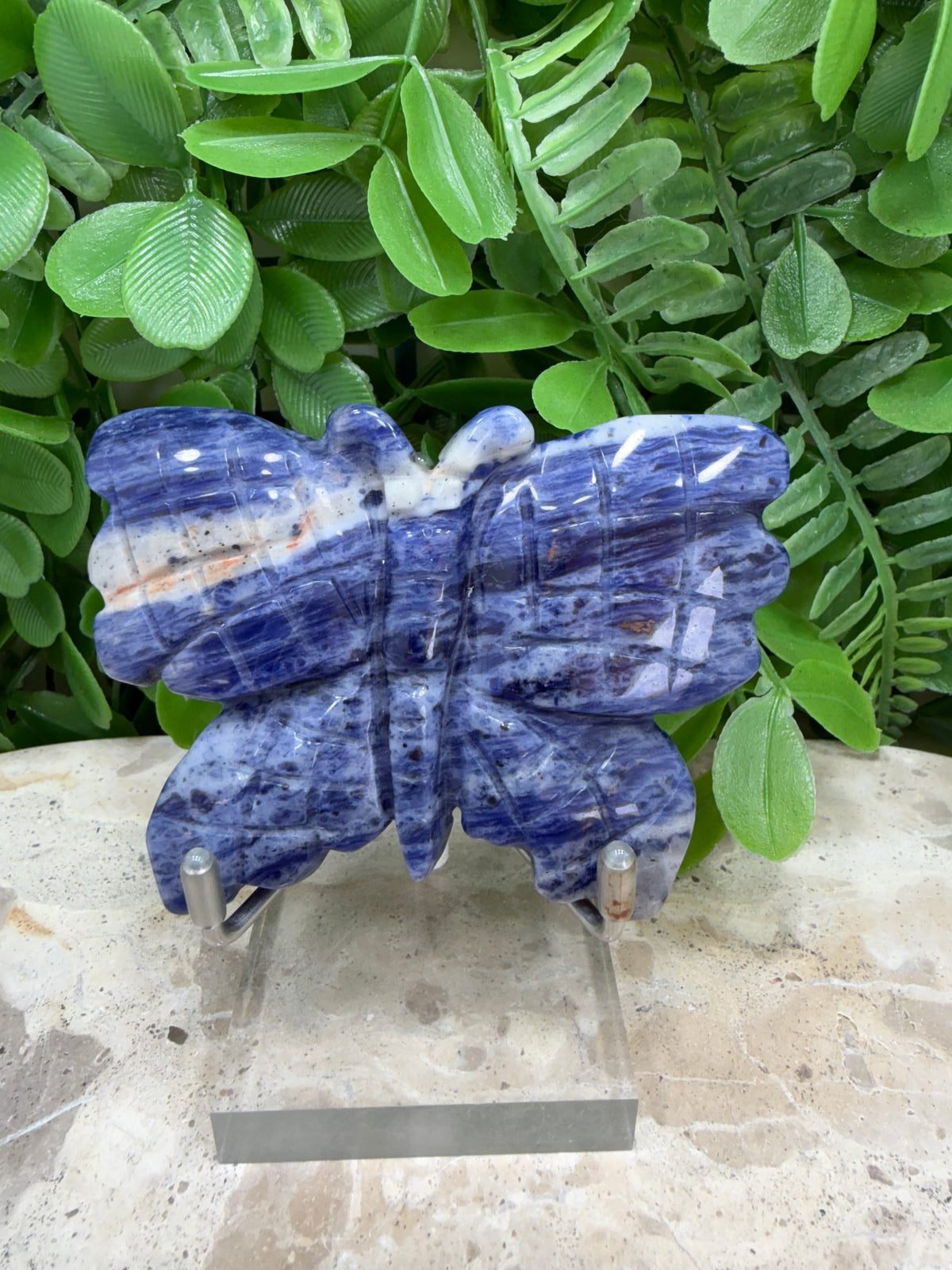 Sodalite Butterfly | Intuition • Communication • Clarity