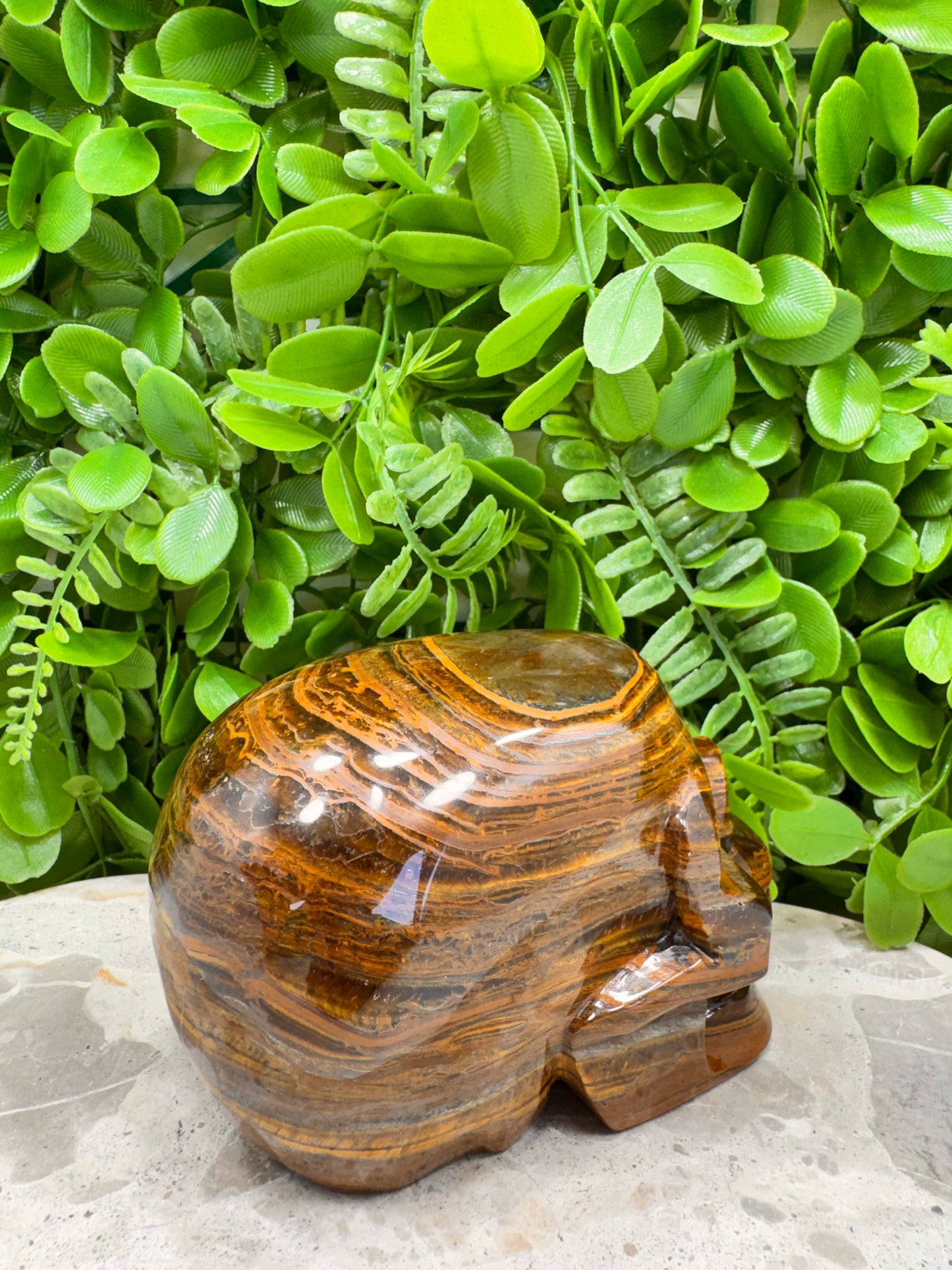 Tiger Ore Skull 1100g