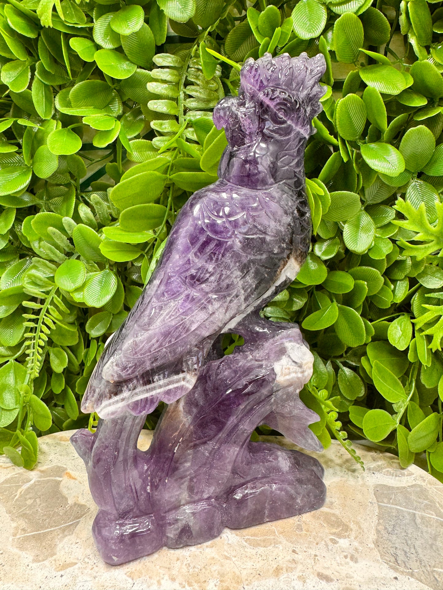 Chevron Amethyst Cockatoo 952g