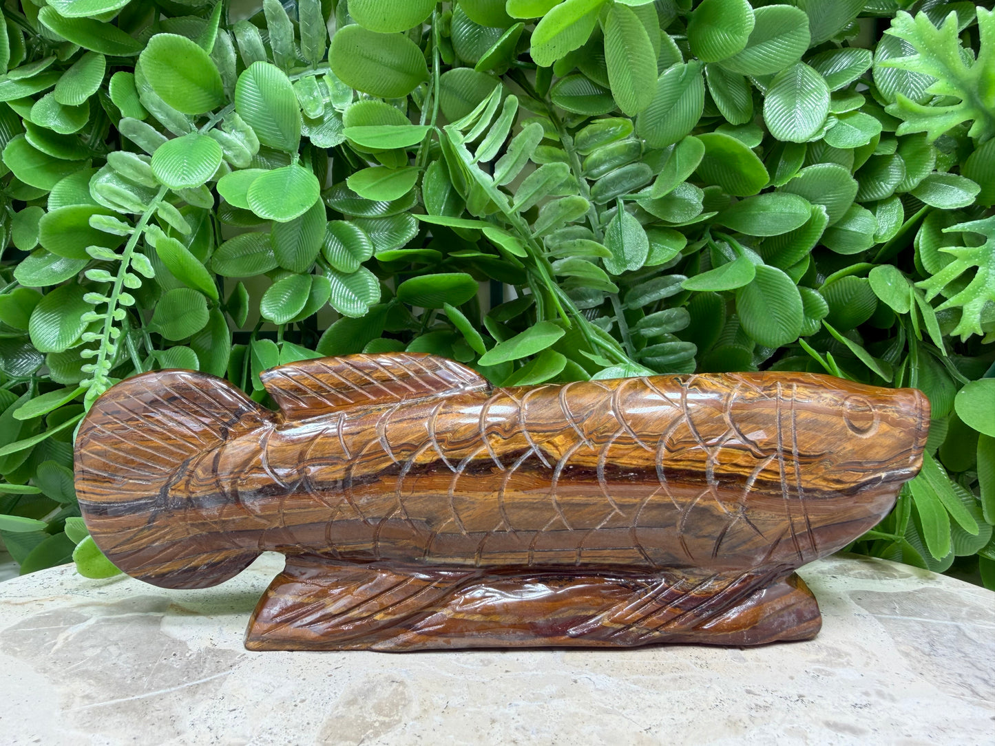 Tiger Eye/Tiger Ore Fish 456g