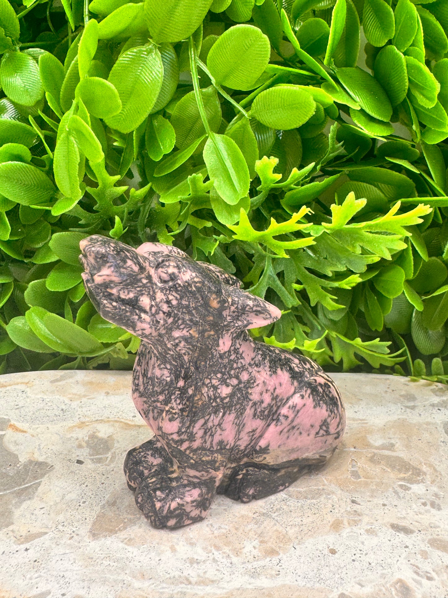 Rhodonite Wolf 338g