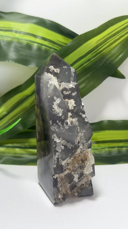 Fluorite Tower Freeform 544g