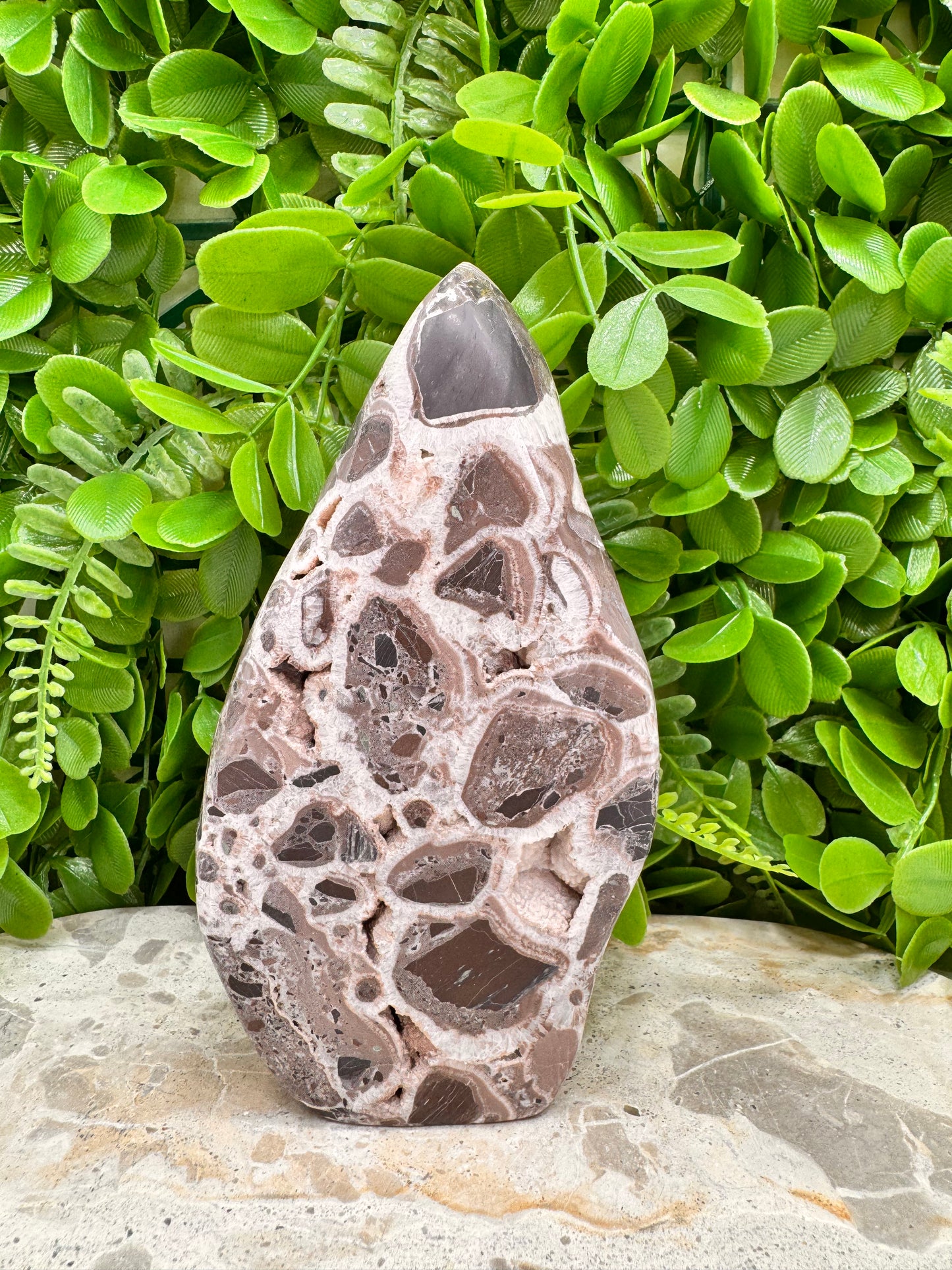 Chocolate Aragonite Freeform 544g