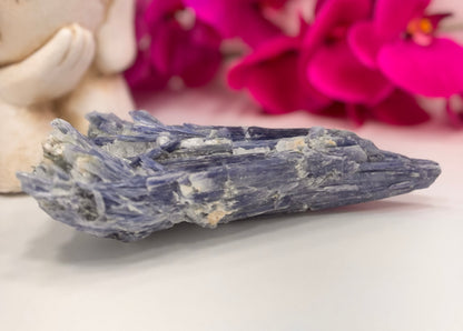 Kyanite Raw 834g