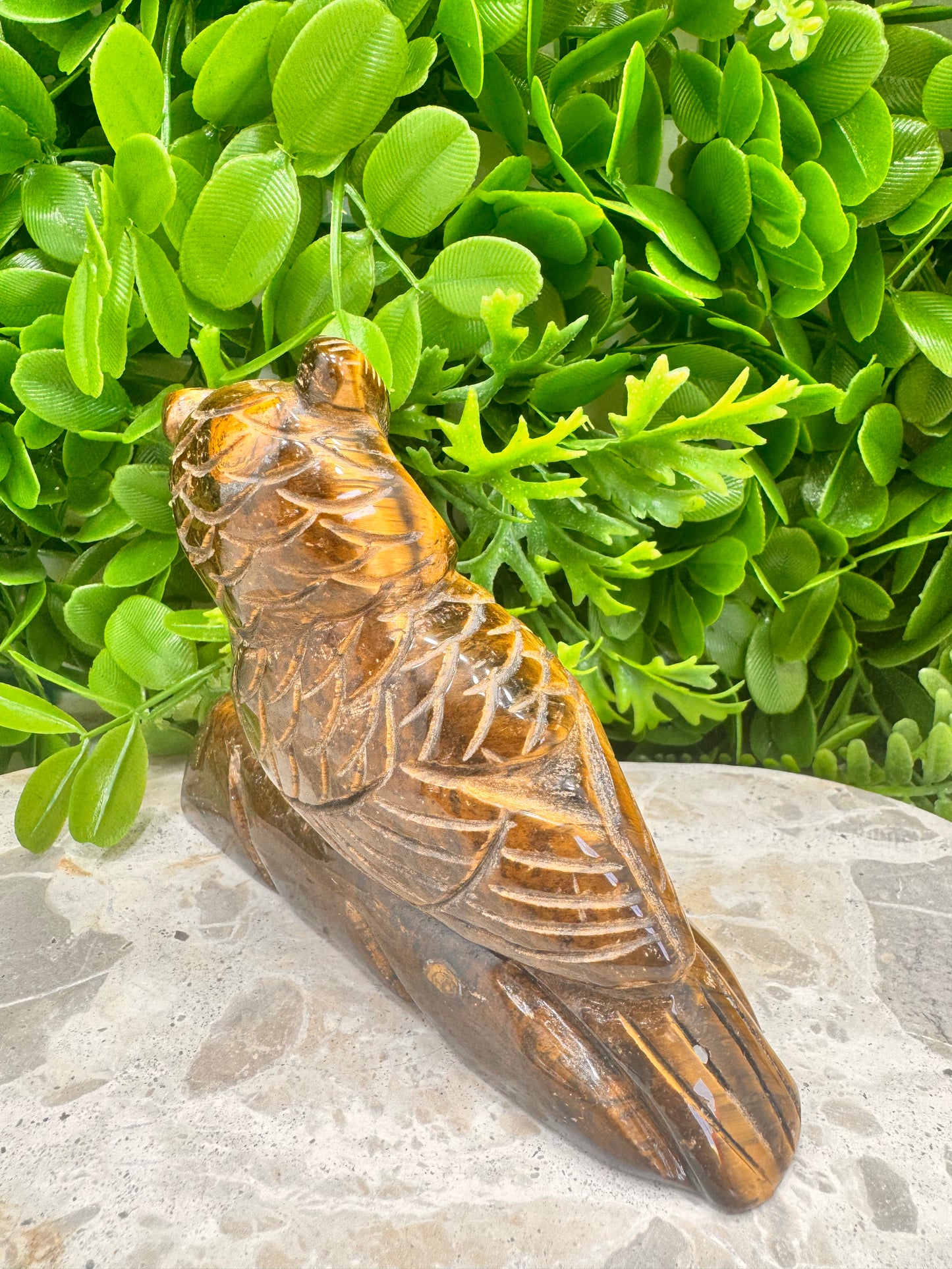 Tiger Eye Owl on a Log 590g