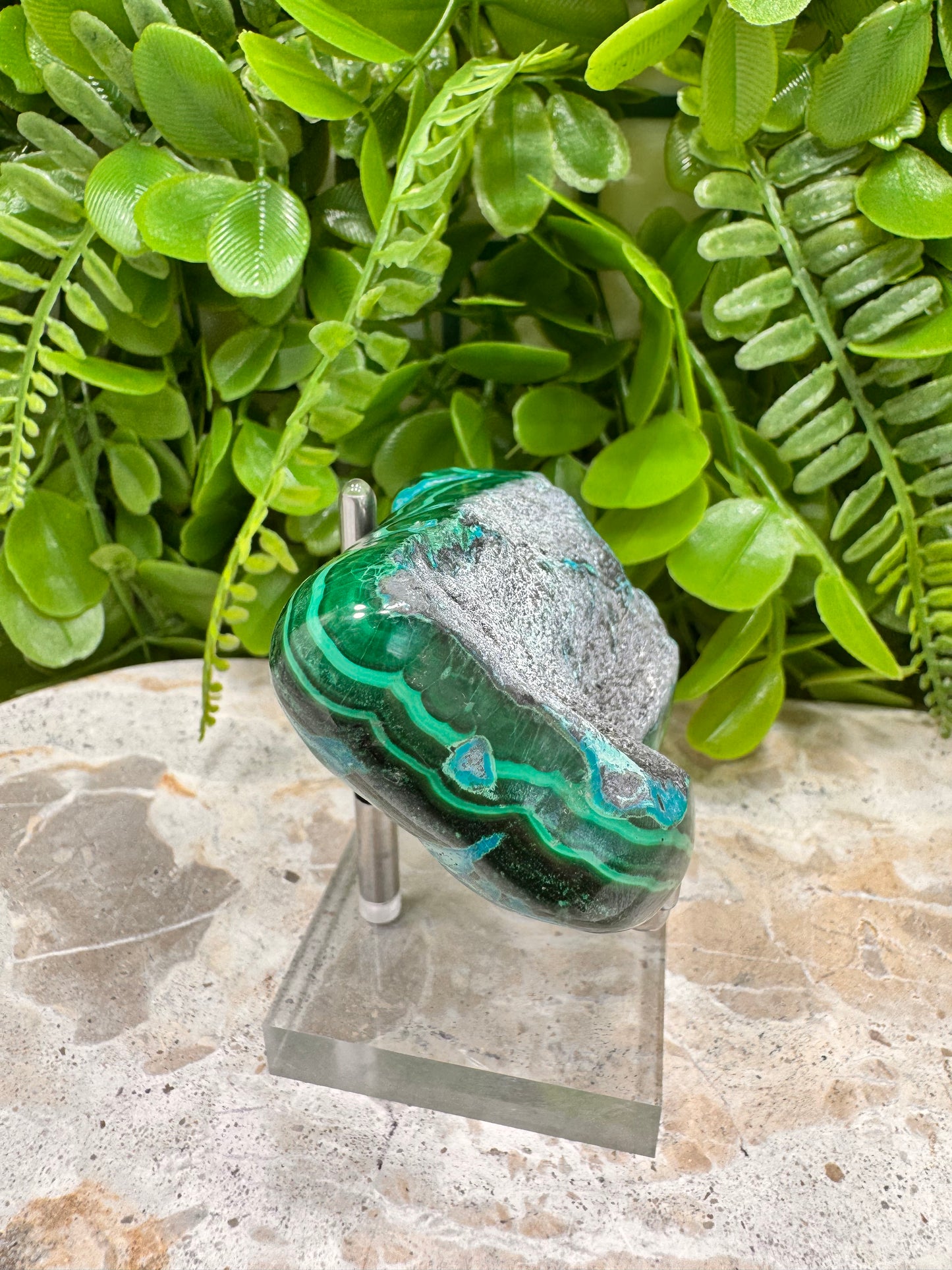 Malachite with Chryscolla Freeform 238g