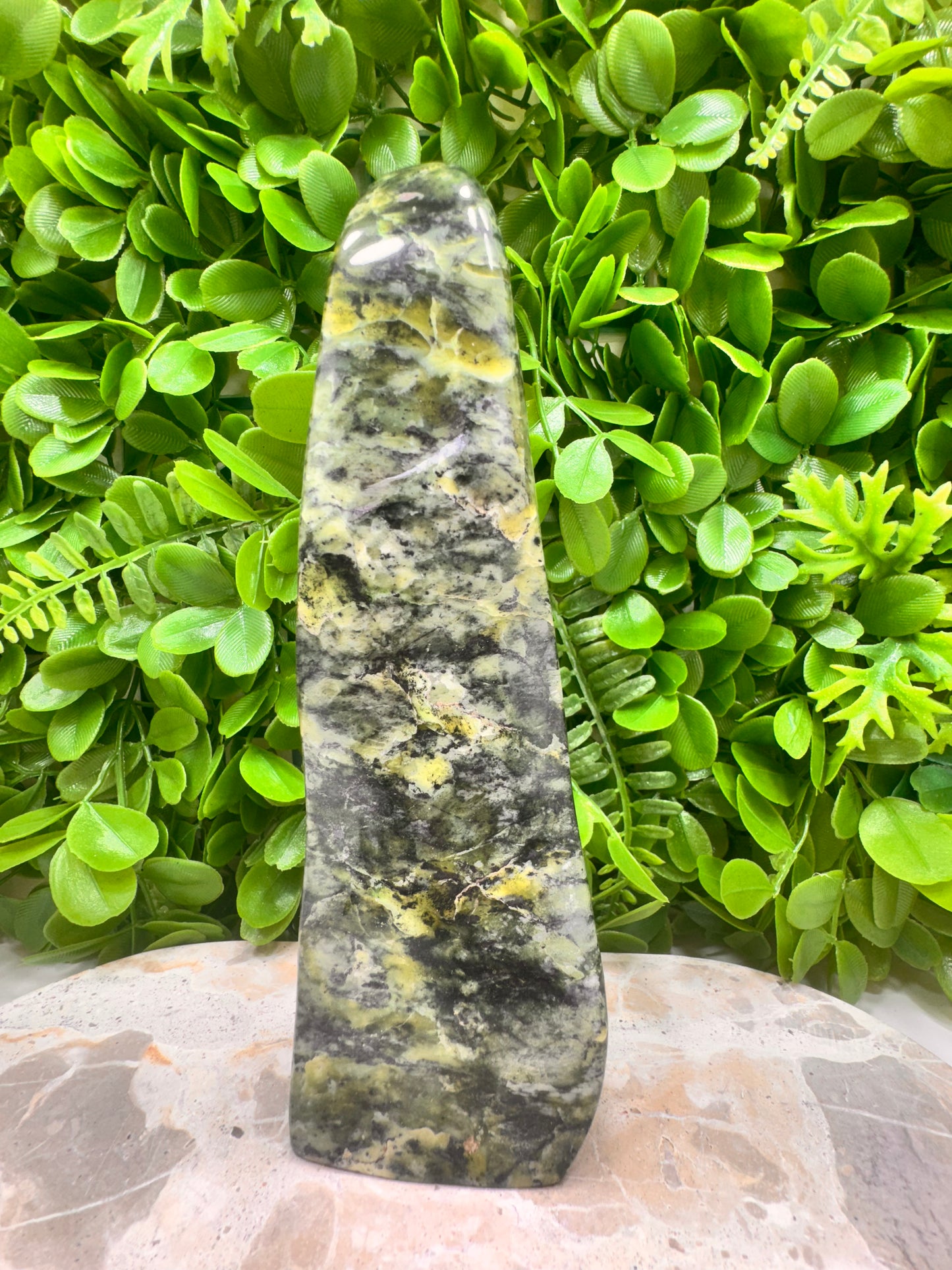 Nephrite Jade Freeform 628g