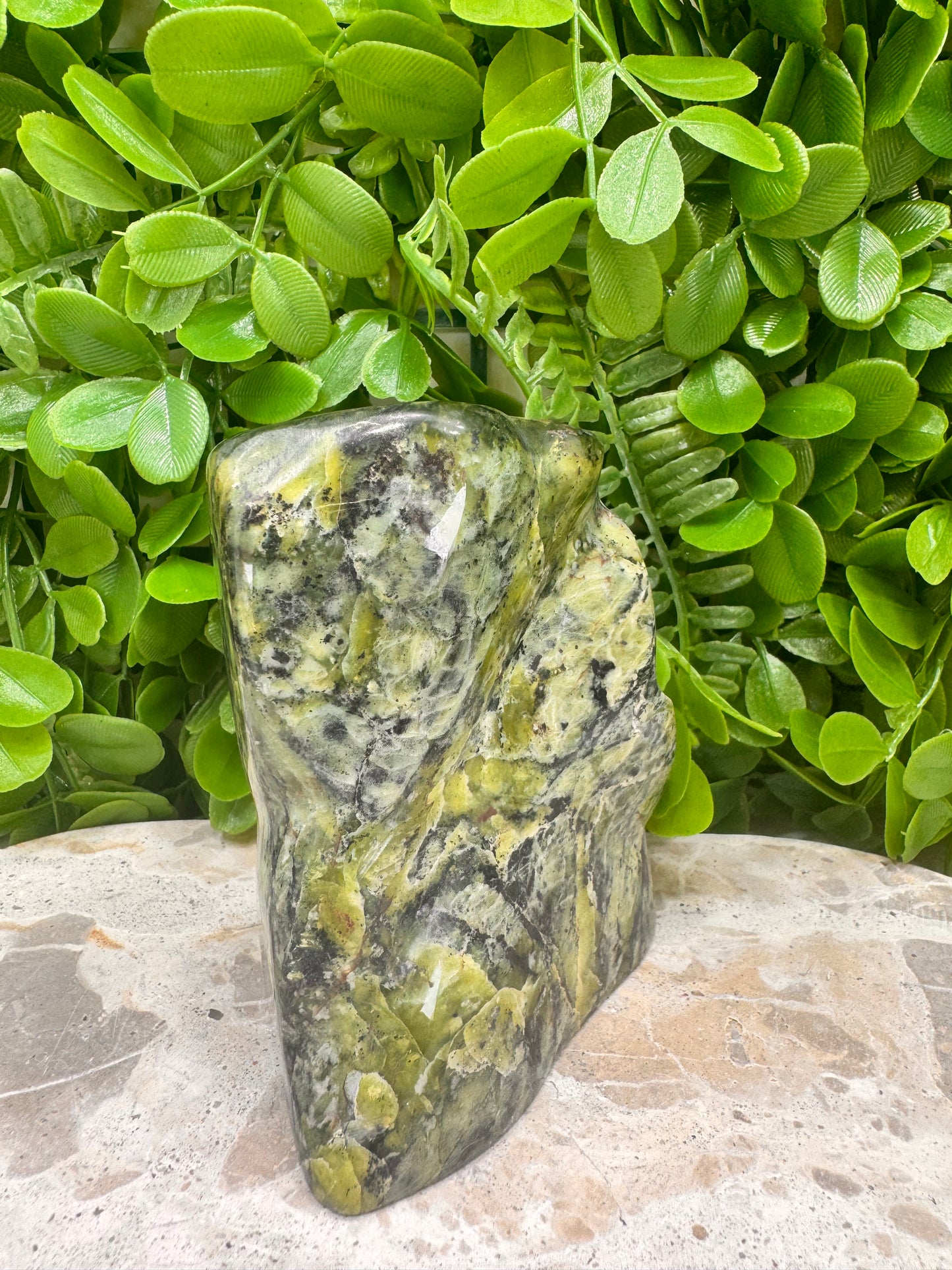 Nephrite Jade Freeform 710g