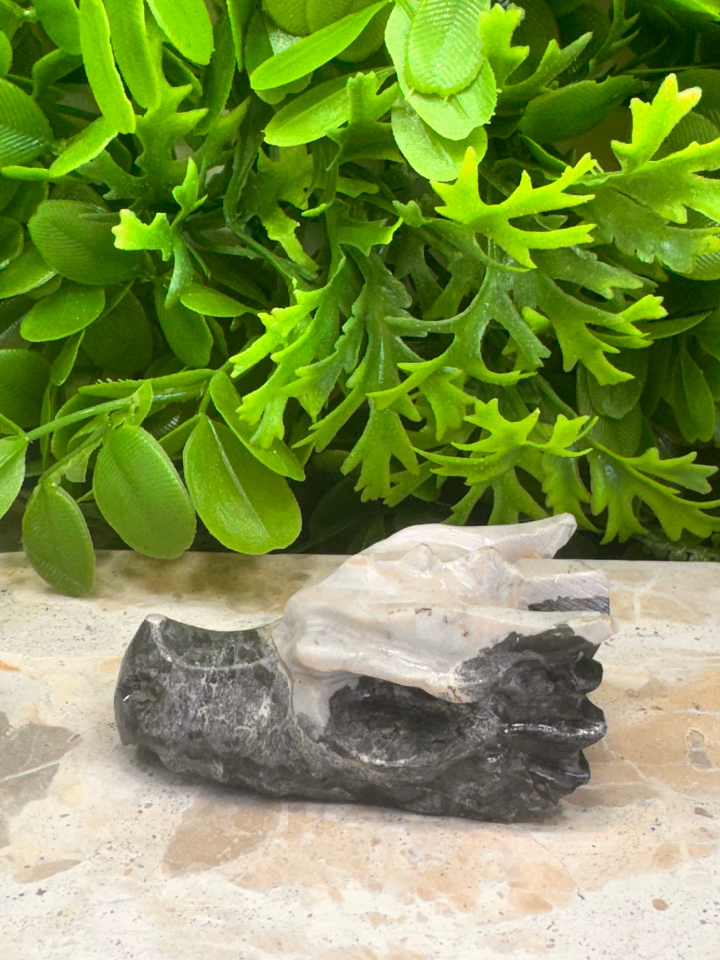 Jasper Dragon Skull 120g
