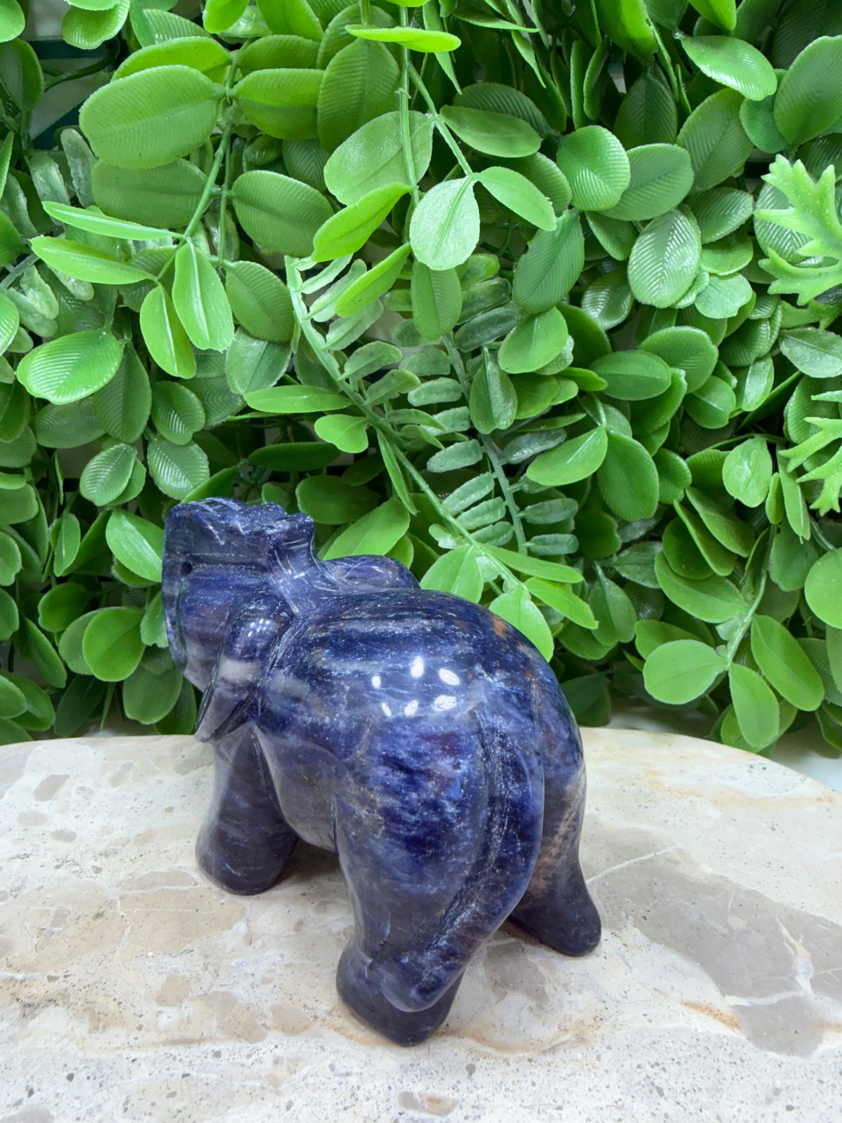 Sodalite Elephant 408g | Intuition • Communication • Clarity