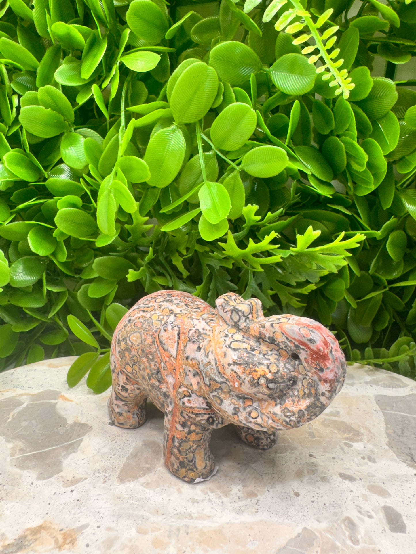 Red Leopard Skin Jasper Elephant 333g