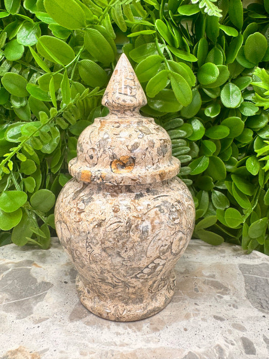 Shell Jasper Jar with Lid 598g