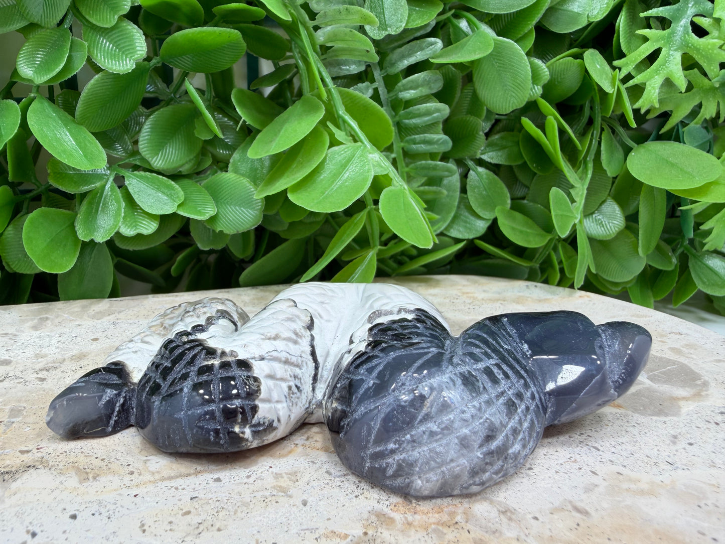 Volcanic Agate Snake 160g