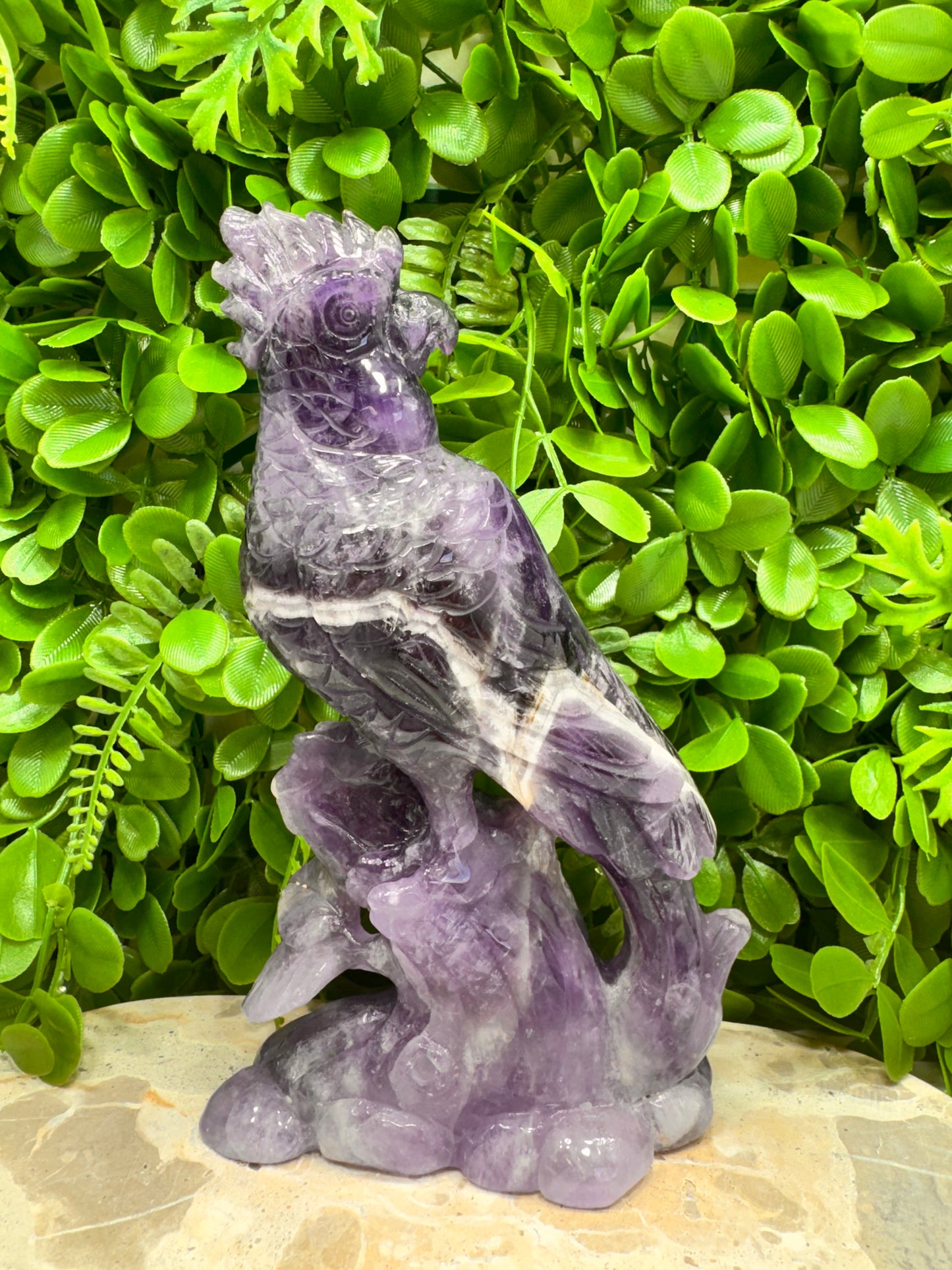 Chevron Amethyst Cockatoo 952g
